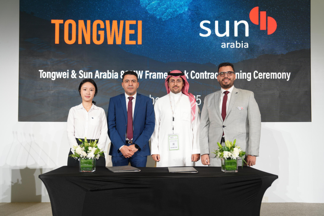 6231fc54649840930980c72612e00a65.png 6231fc54649840930980c72612e00a65.png